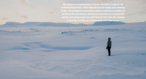 http://www.visitfinland.com/article/what-are-the-finns-like/